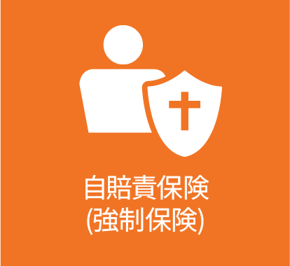 自賠責保険(強制保険)